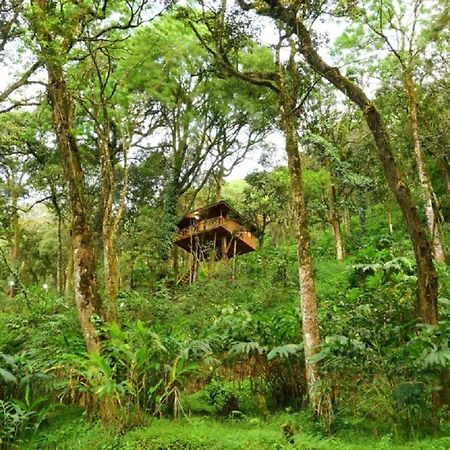 Seven Springs Resort Munnar Buitenkant foto