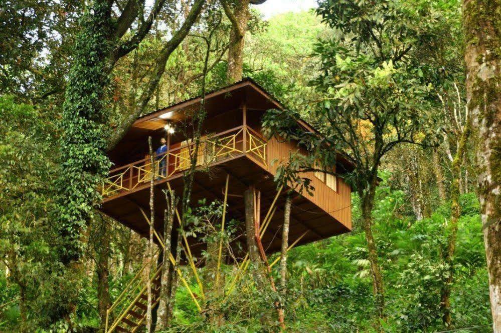 Seven Springs Resort Munnar Buitenkant foto