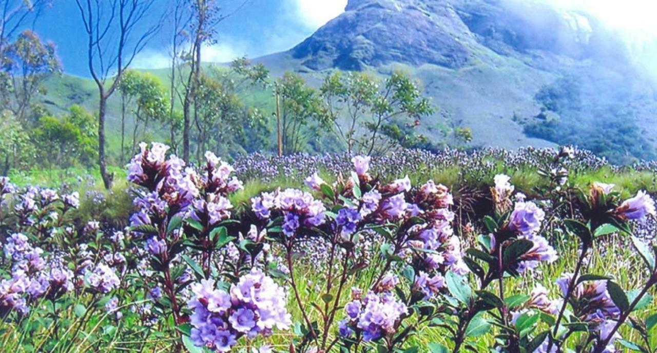 Seven Springs Resort Munnar Buitenkant foto