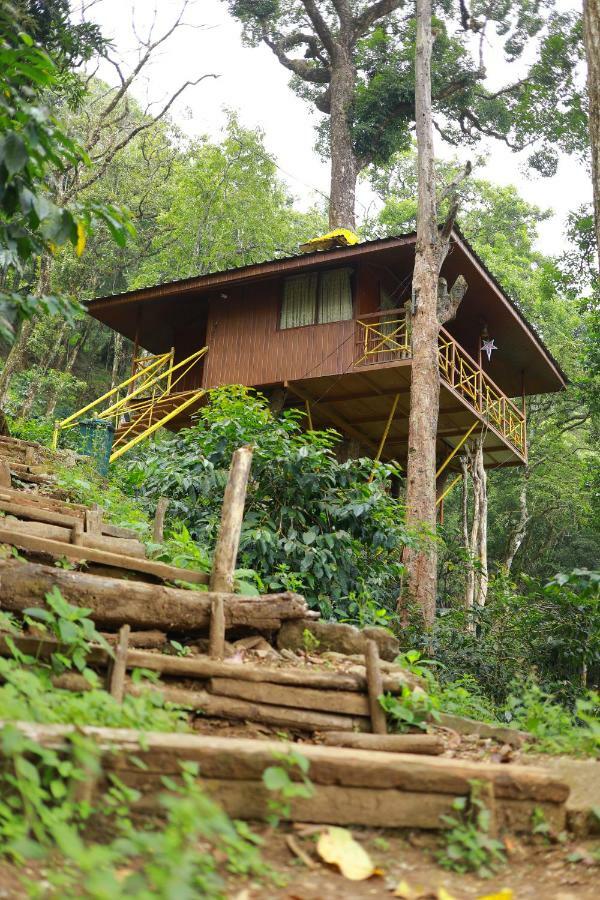 Seven Springs Resort Munnar Buitenkant foto