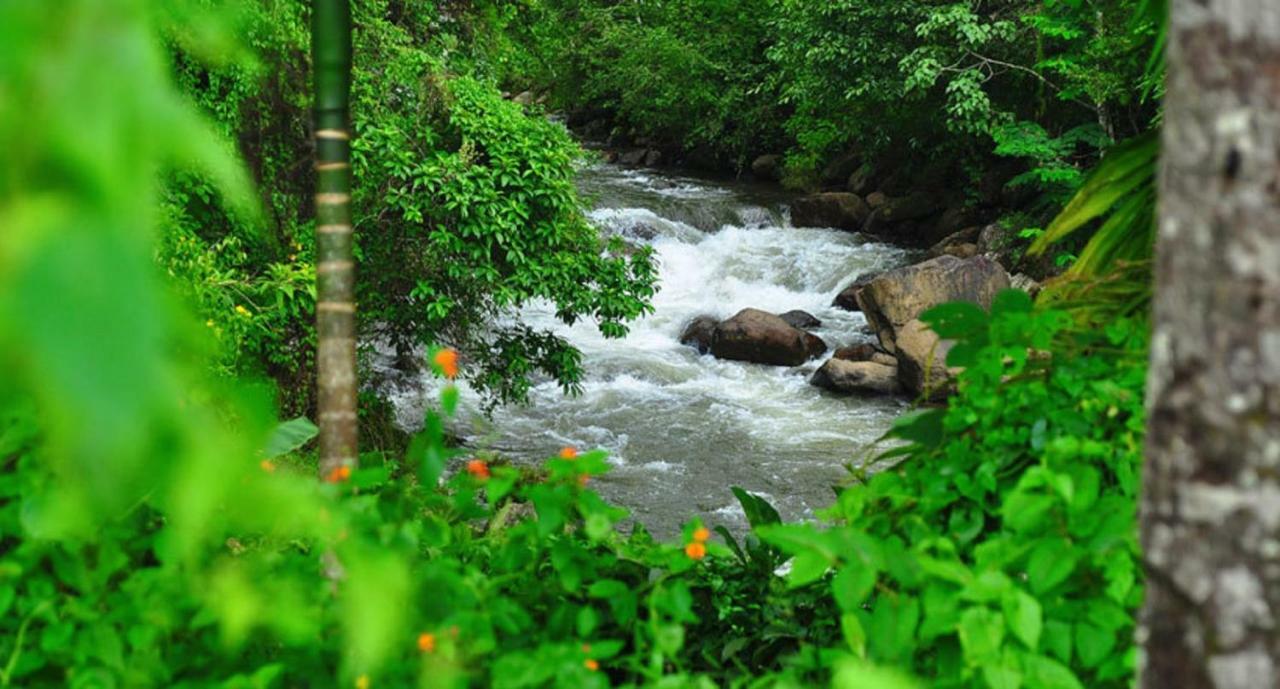 Seven Springs Resort Munnar Buitenkant foto
